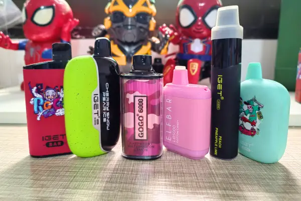 Best Disposable Vape NZ Introduction