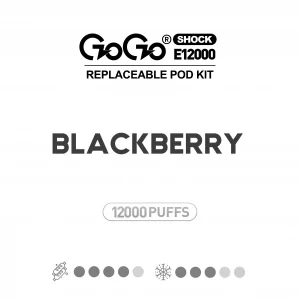 Blackberry GOGO Shock E12000 Kit