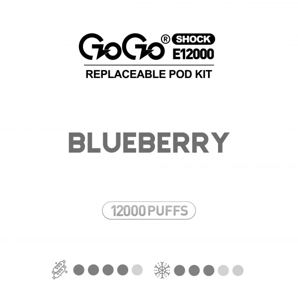 Blueberry GOGO Shock E12000 Kit