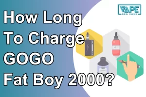How Long To Charge GOGO Fat Boy 2000