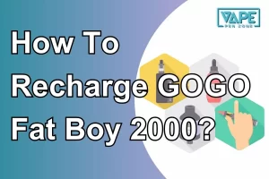 how to recharge gogo fat boy 2000