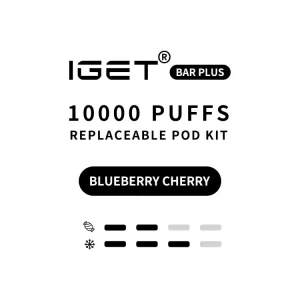 IGET Bar Plus Kit 3.0 10000 Puffs - Blueberry Cherry