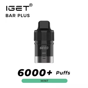 Mint IGET Bar Plus Pod 6000 Puffs