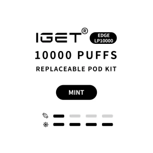 Mint - IGET EDGE Kit 10000 Puffs