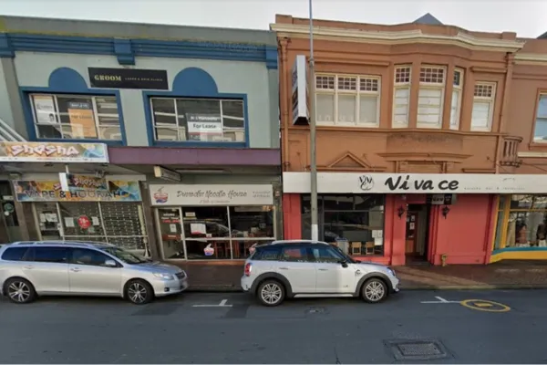 Shosha Dunedin Street View
