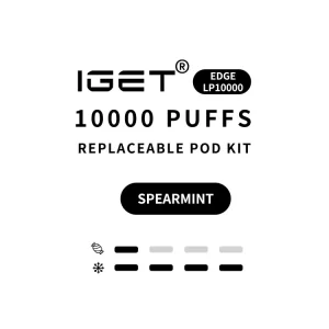 Spear Mint - IGET EDGE Kit 10000 Puffs