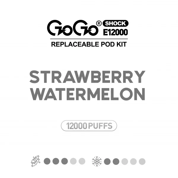 Strawberry Watermelon GOGO Shock E12000 Kit